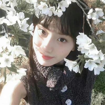 鸡密真相